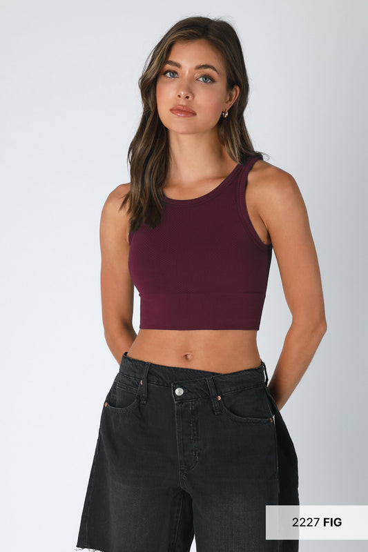 High Neck Chevron Crop Top in  Fig