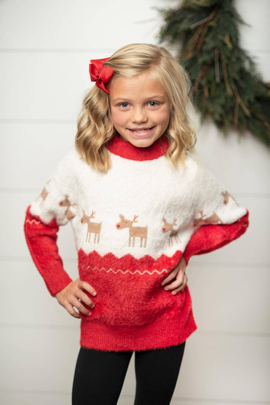 Noel Holiday Sweater - youth size